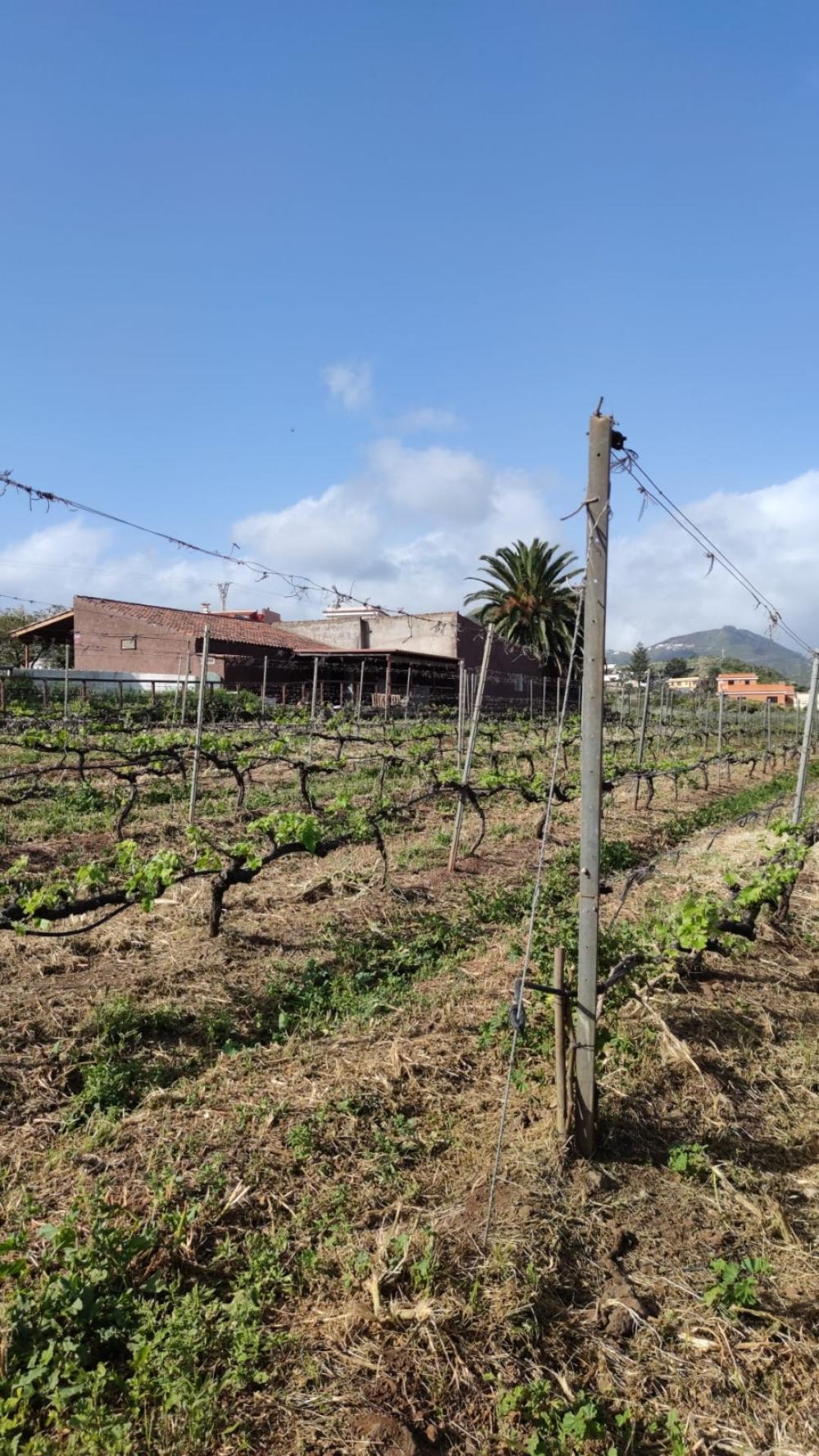  te koop boerderij El Infierno Zona Metropolitana 8