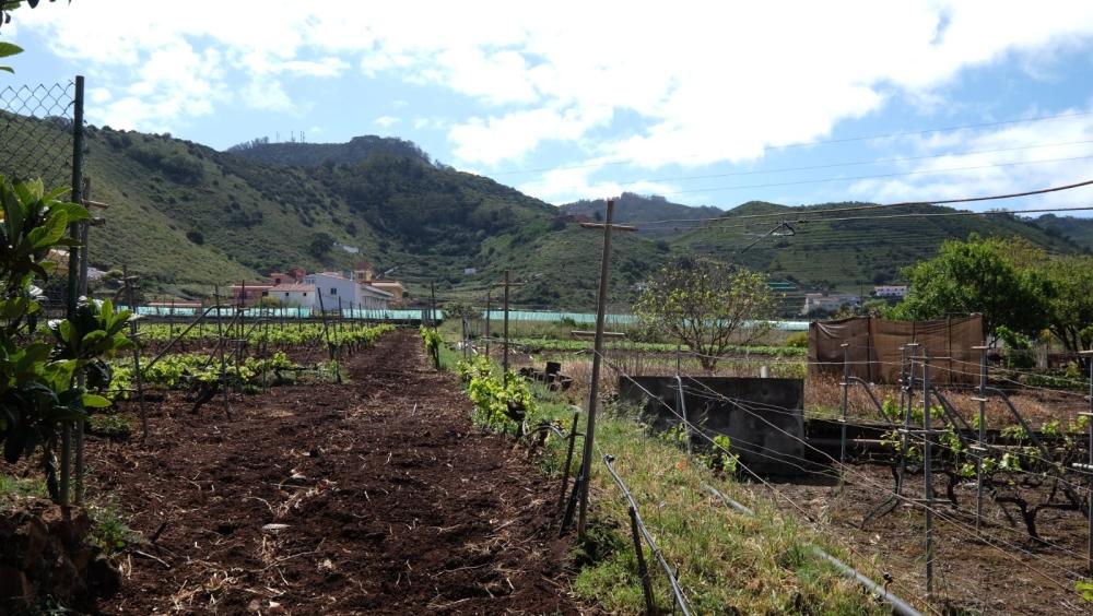  te koop boerderij El Infierno Zona Metropolitana 2