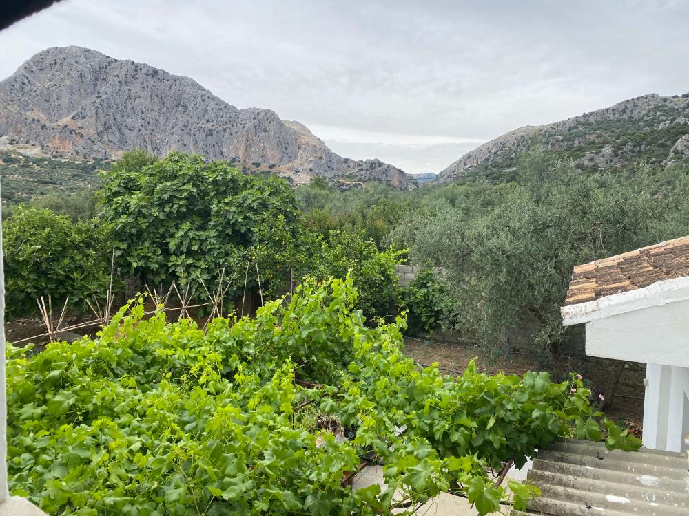  te koop twee-onder-een-kapwoning Alfarnatejo Axarquía 20