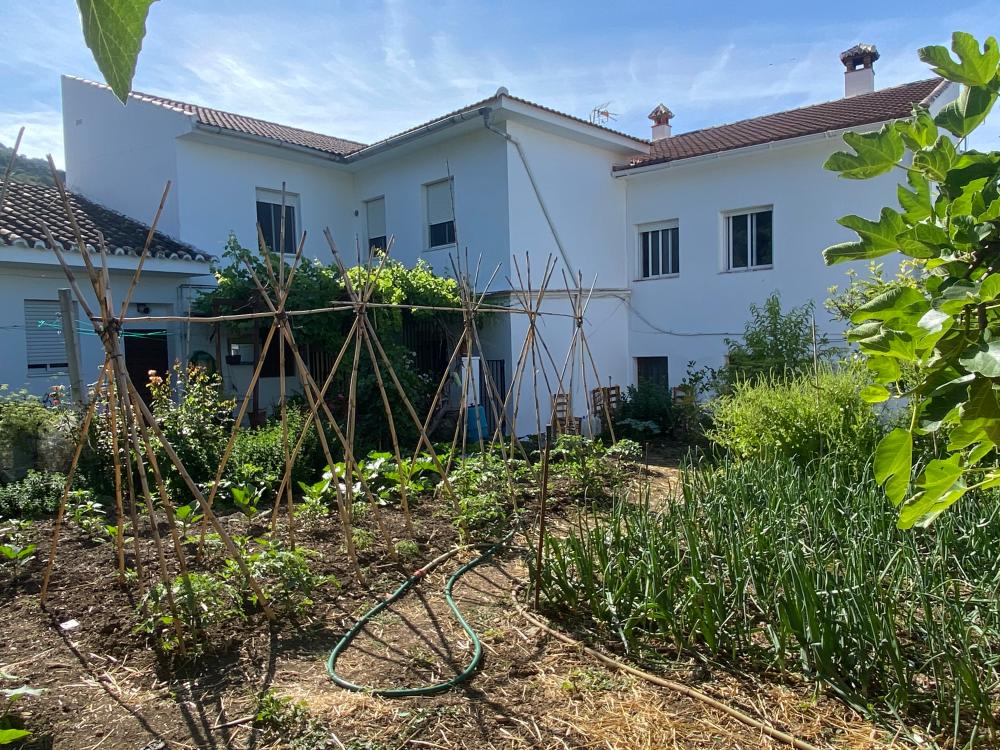  te koop twee-onder-een-kapwoning Alfarnatejo Axarquía 18