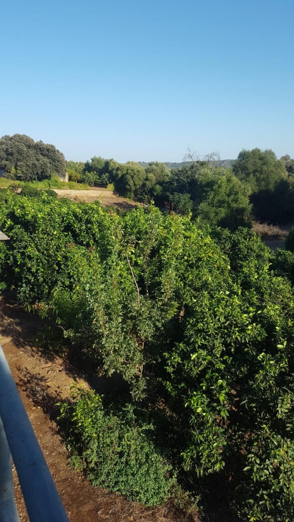  te koop villa Hornachuelos Valle Medio Del Guadalquivir 9