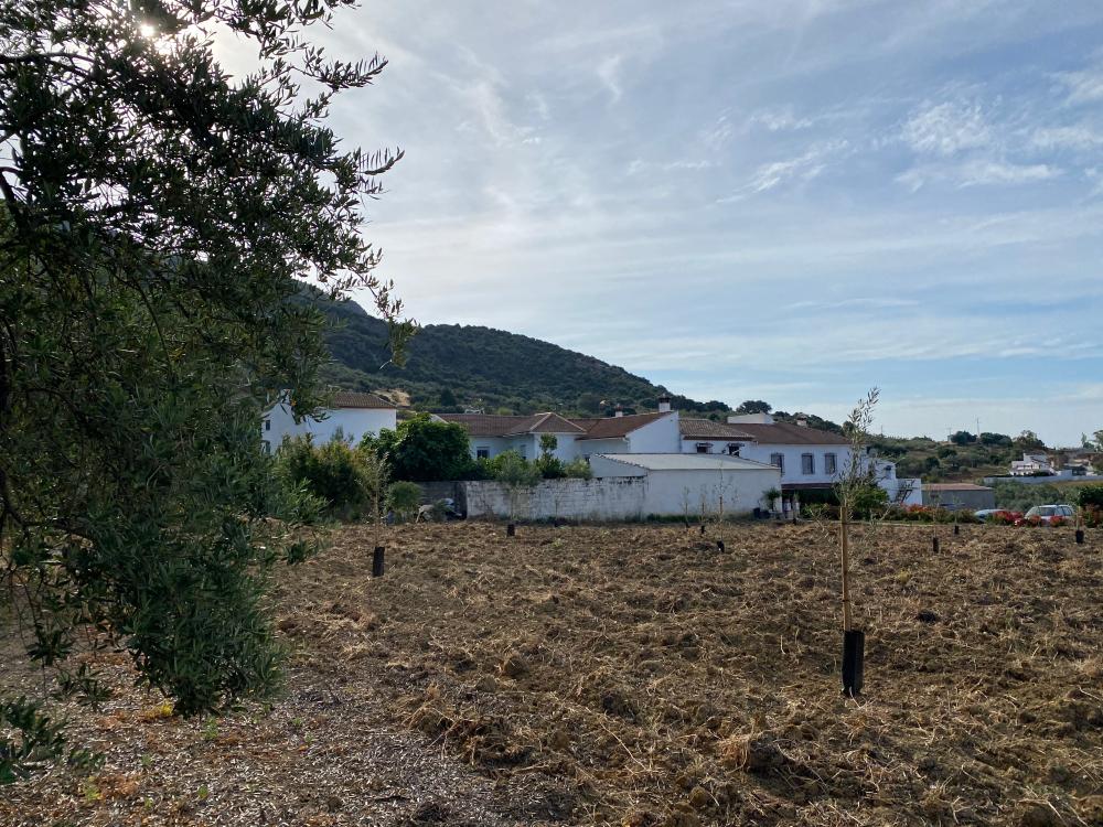  te koop twee-onder-een-kapwoning Alfarnatejo Axarquía 23