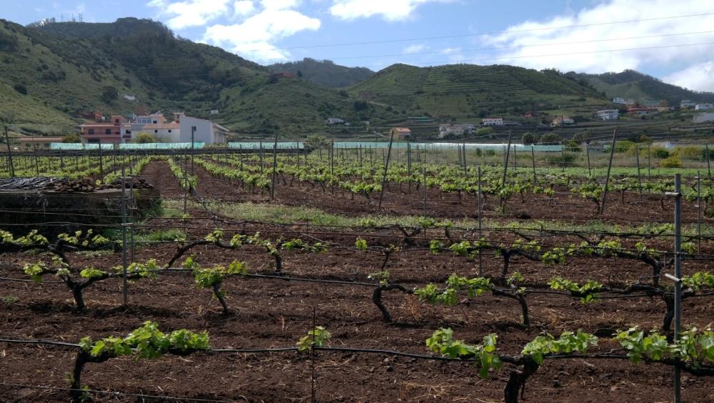  te koop boerderij El Infierno Zona Metropolitana 3