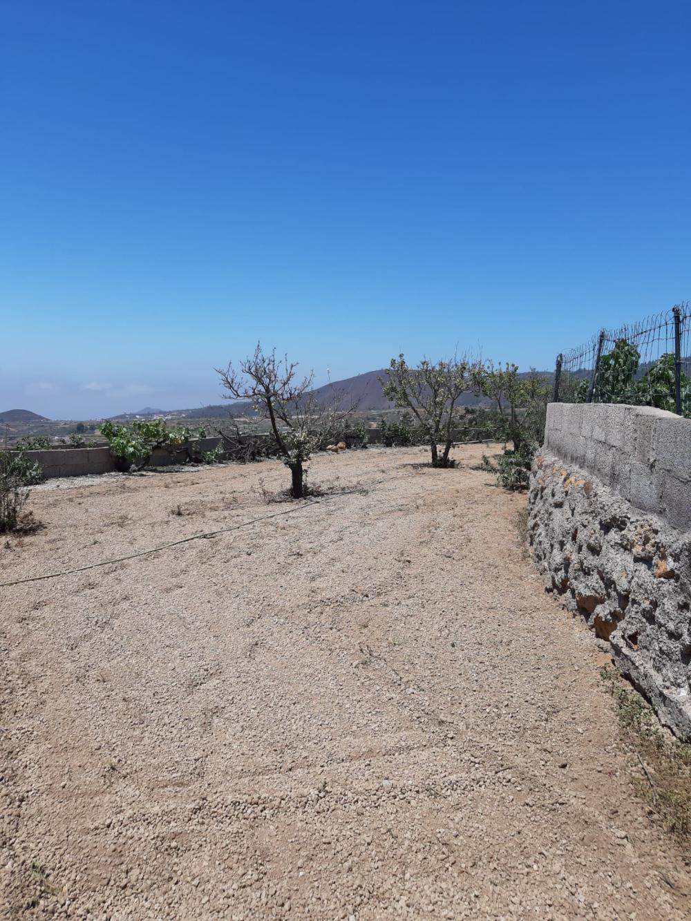  te koop boerderij Cruz De Tea Zona Sur 1