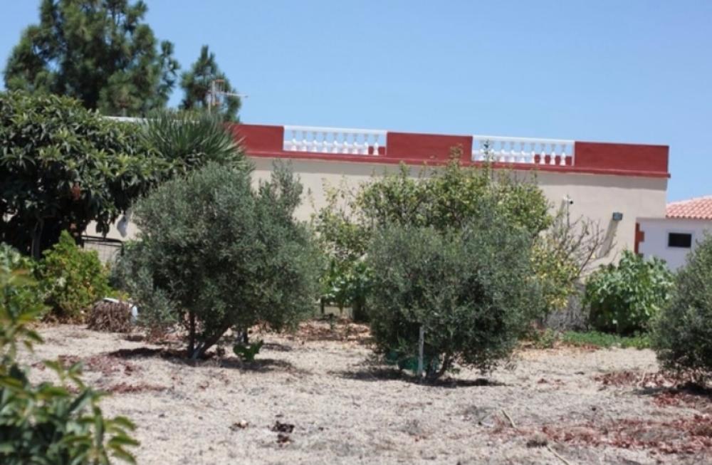  te koop boerderij Cruz De Tea Zona Sur 10