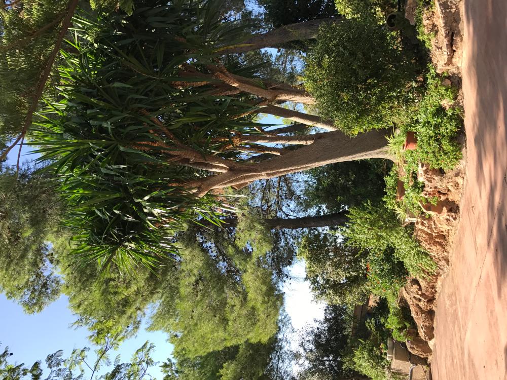  te koop villa Montserrat Ribera Alta 9