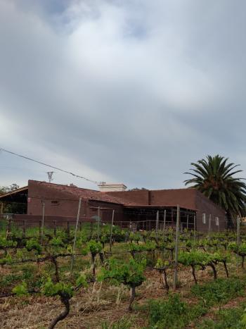 El Infierno Zona Metropolitana boerderij foto 4751822