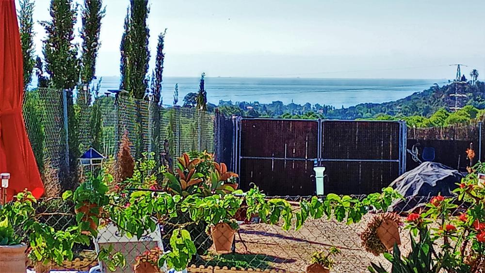  te koop boerderij Estepona Costa Del Sol Occidental 21