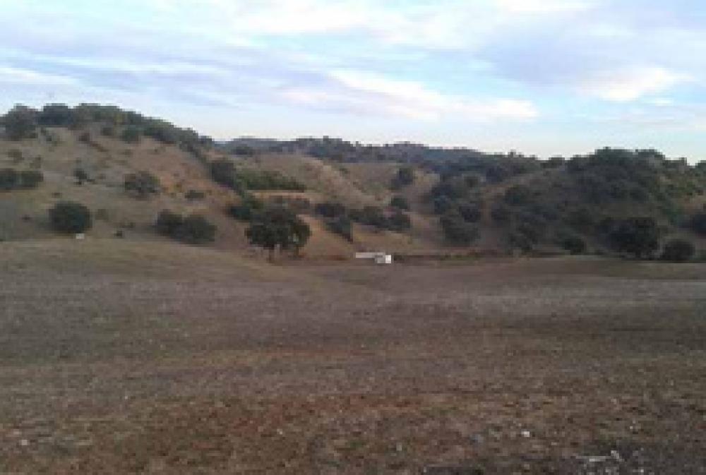  te koop boerderij Coripe Campiña De Morón Y Marchena 1