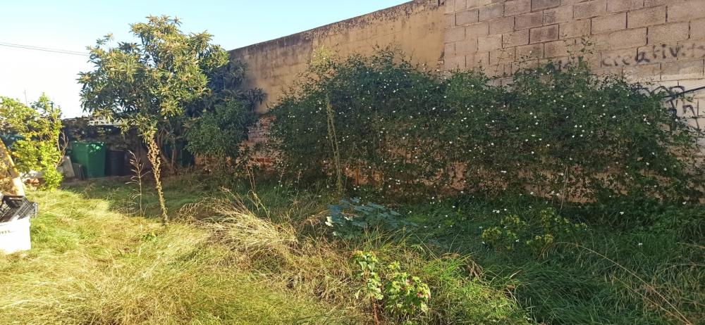  te koop boerderij Foios Horta Nord 15