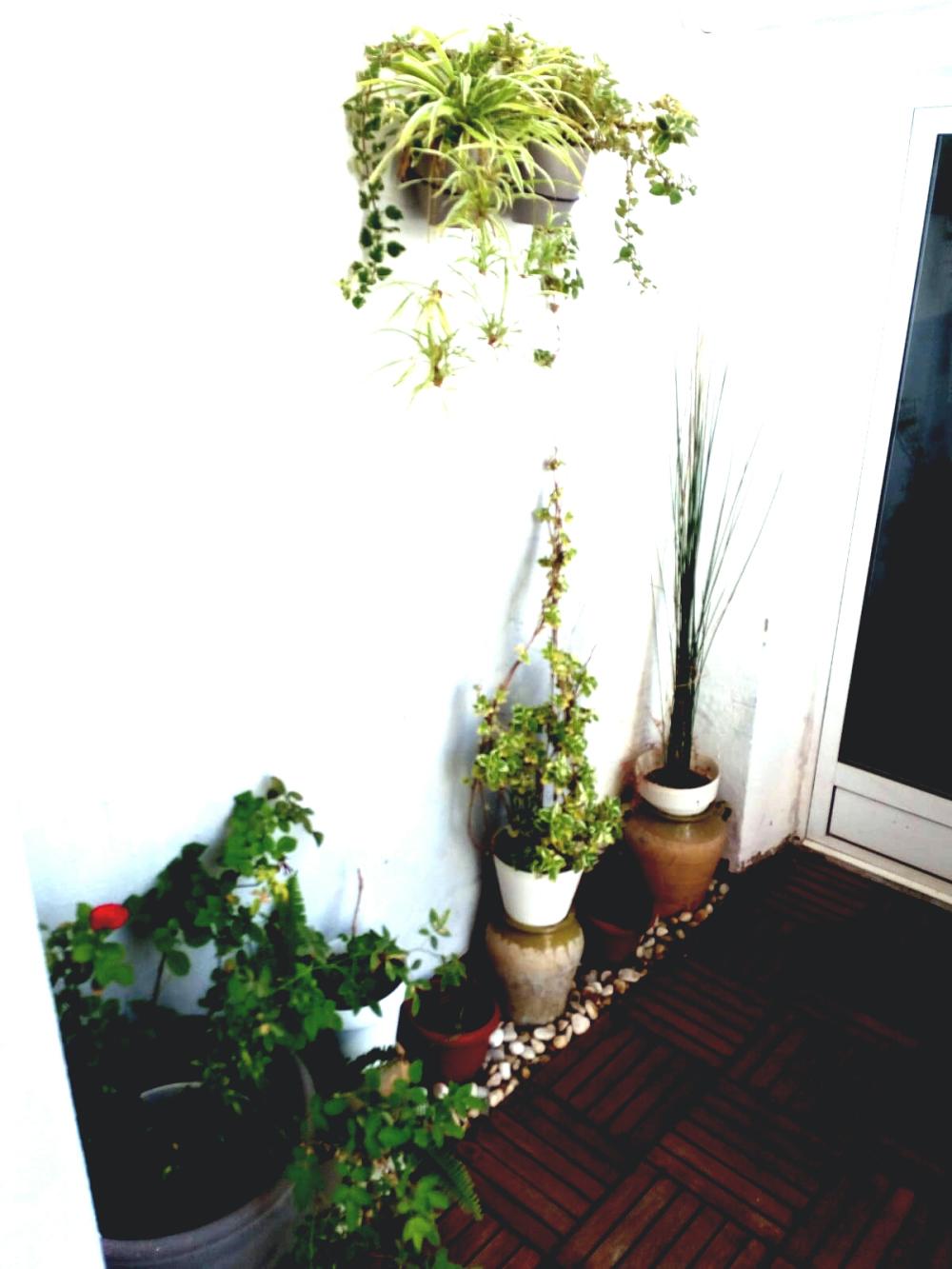  te koop studio La Saida Sant Antoni Valencia 8