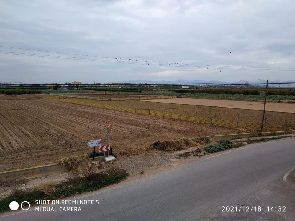  te koop boerderij Foios Horta Nord 6