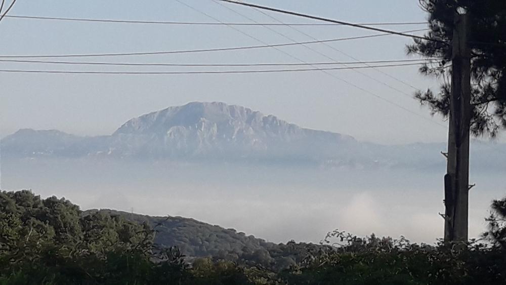  te koop perceel El Cuartón Campo De Gibraltar 1