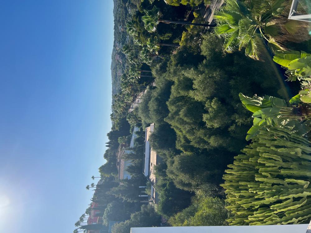  te koop villa Sotogrande Campo De Gibraltar 44