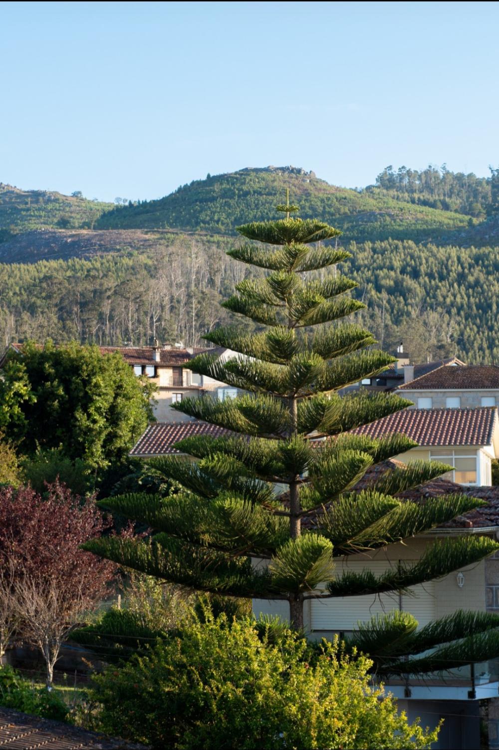  te koop villa Coruxo Vigo 9