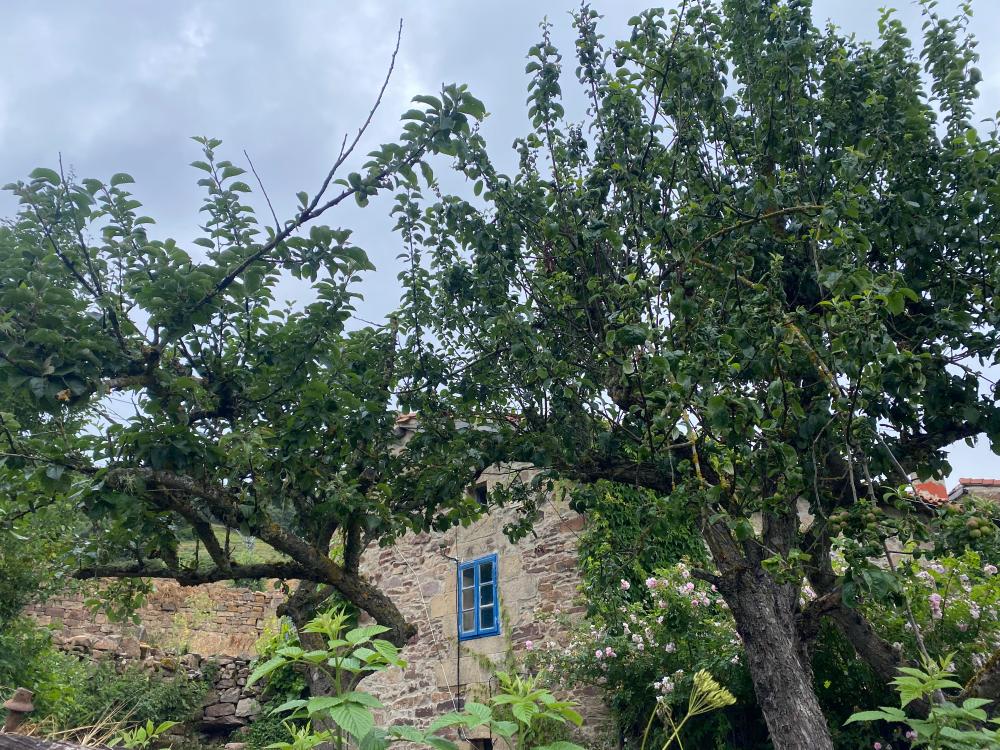  te koop huis Rebolledo Campoo-Los Valles 22