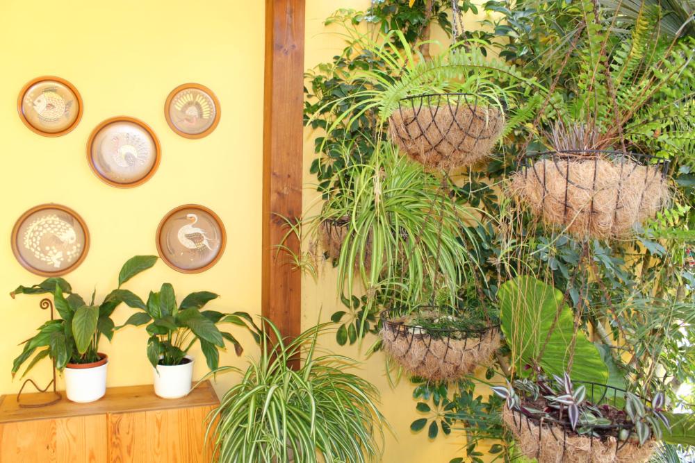  te koop boerderij Sant Rafel De Sa Creu Sant Antoni De Portmany 11