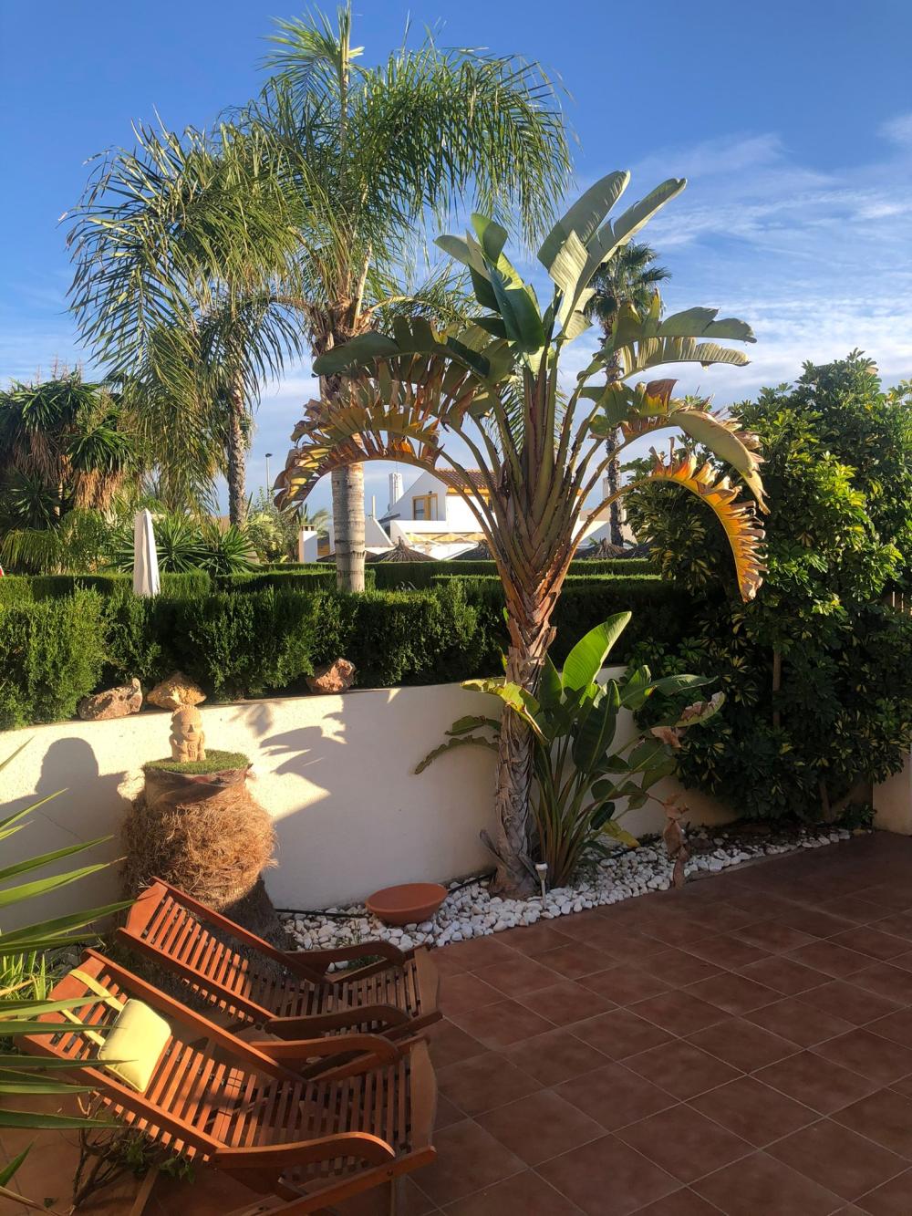  te koop duplex Torre De La Horadada Baix Segura 5