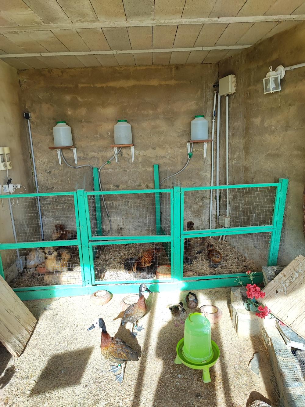  te koop villa Torrent Horta Oest 12