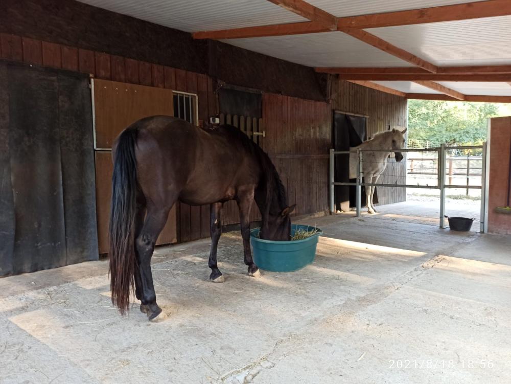  te koop boerderij Folgars De La Selva Maresme 10
