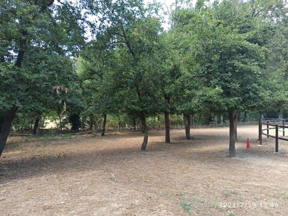  te koop boerderij Folgars De La Selva Maresme 2