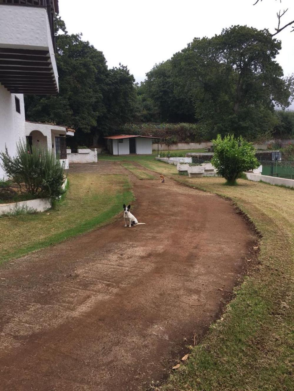  te koop villa La Matanza De Acentejo Zona Norte 7