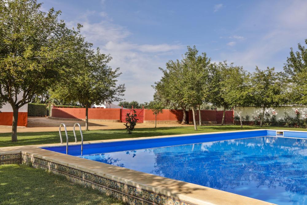  te koop villa Carmona Campiña De Carmona 12