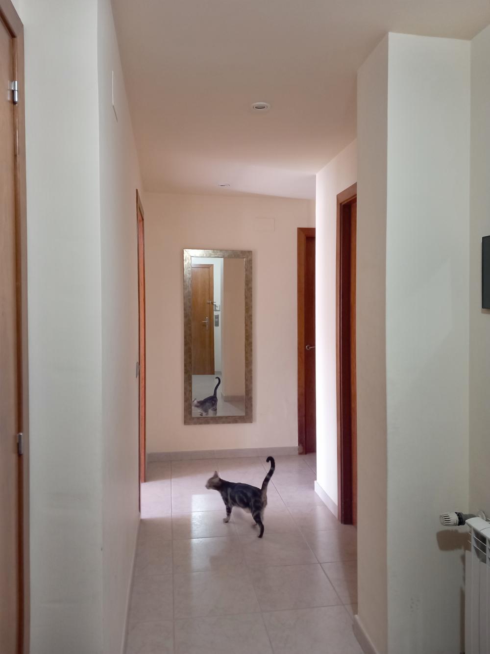  te koop duplex Canet De Mar Maresme 3