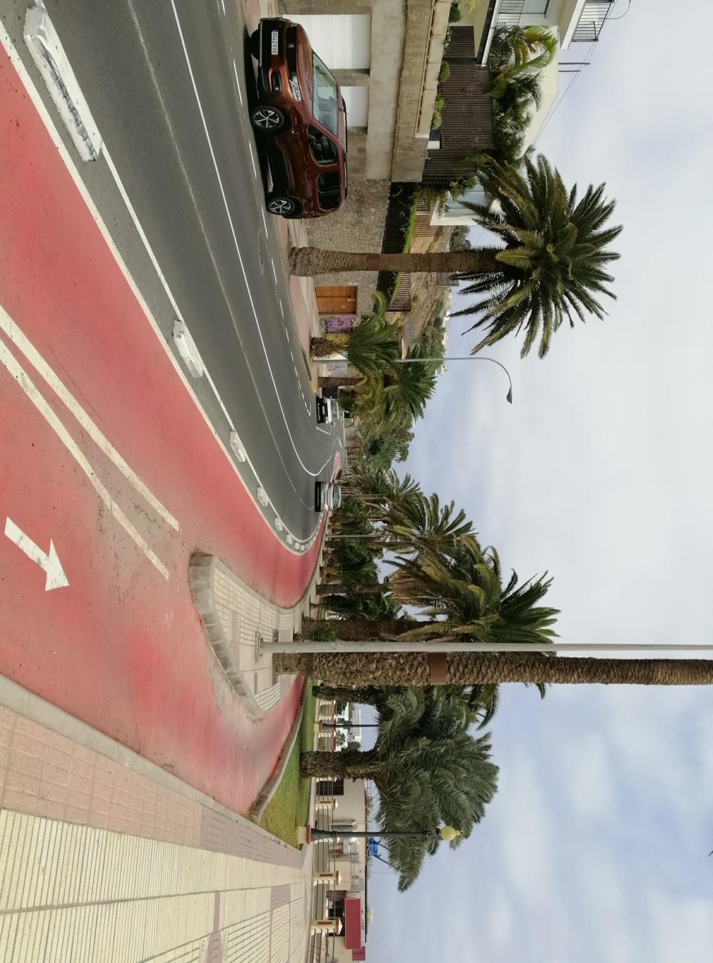  te koop appartement Ciudad Alta Palmas De Gran Canaria (Las) 11