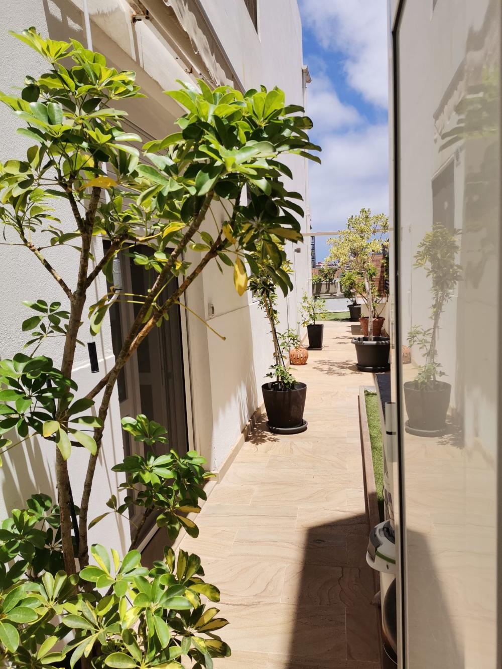  te koop appartement Ciudad Alta Palmas De Gran Canaria (Las) 2