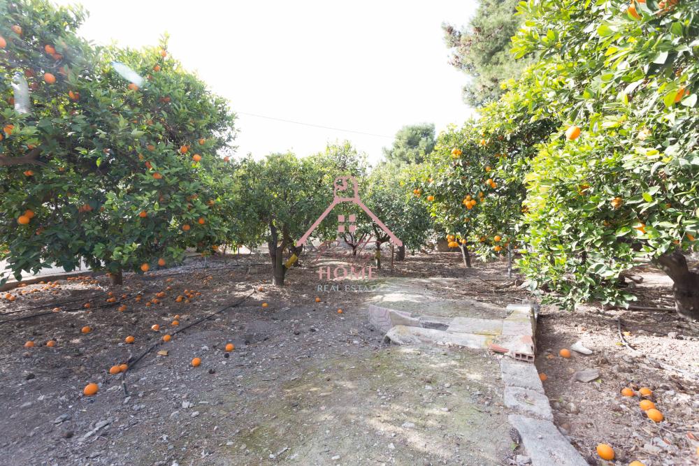  te koop benedenwoning La Majada Bajo Guadalentín 4
