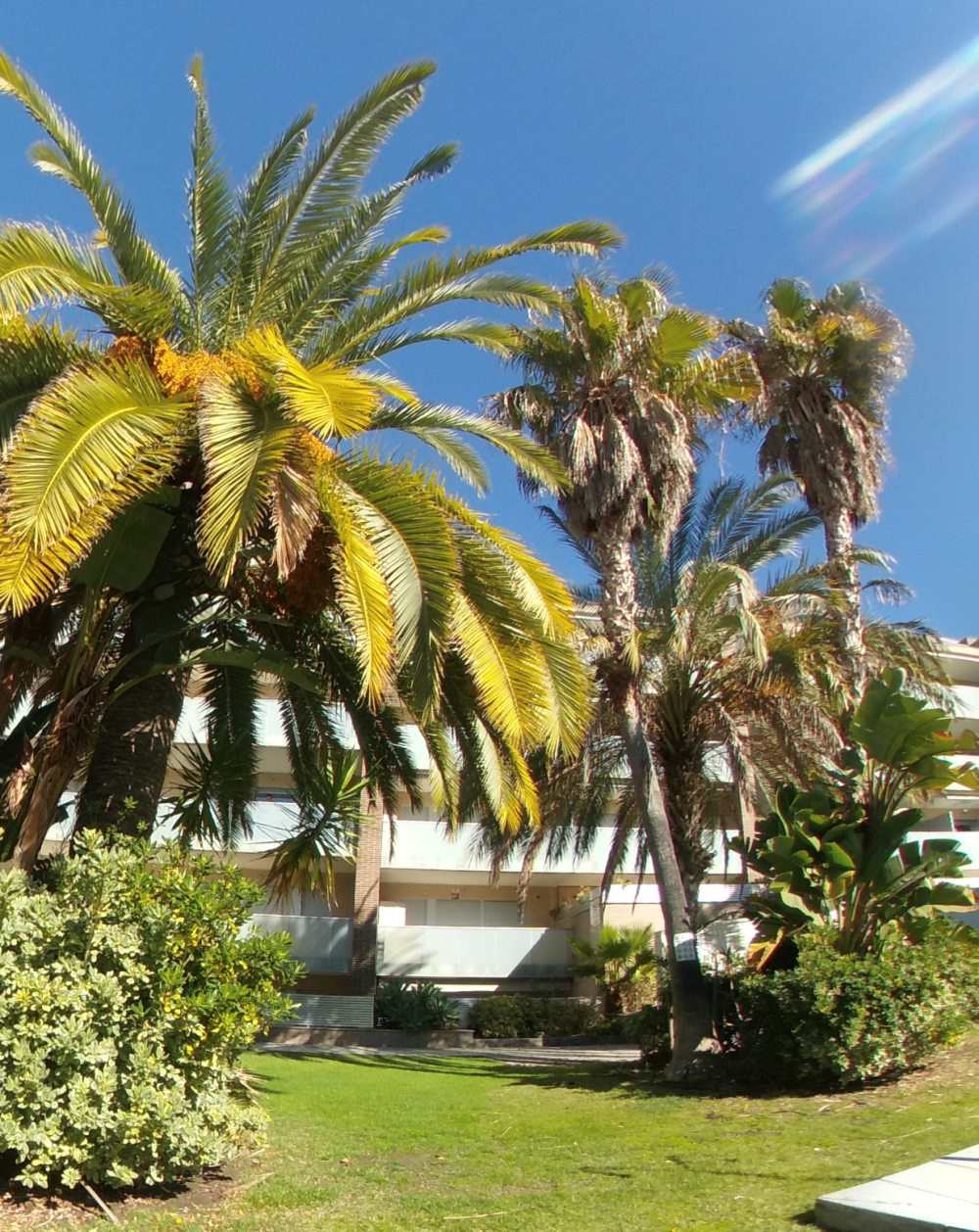  te koop appartement Salou Tarragonès 26