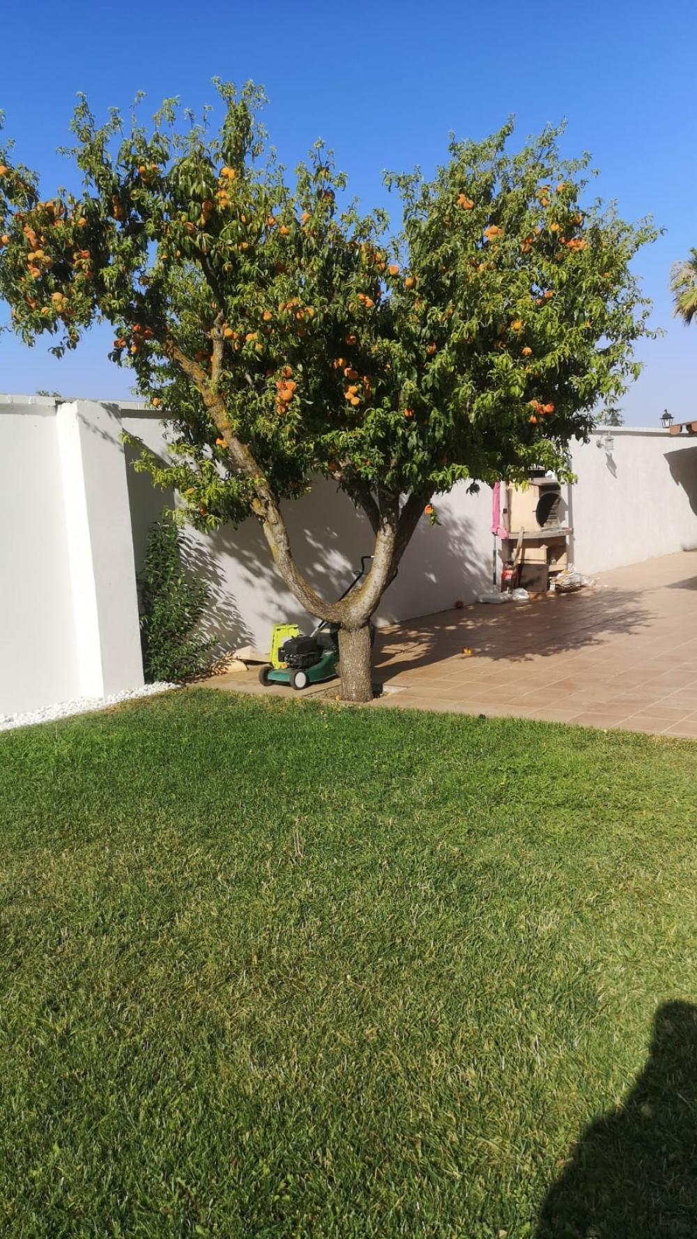  te koop huis Belicena Vega De Granada 31