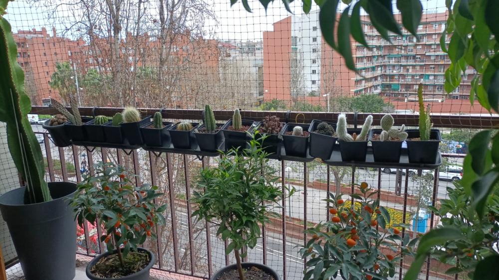  te koop appartement Sant Martí-El Clot Barcelonès 4