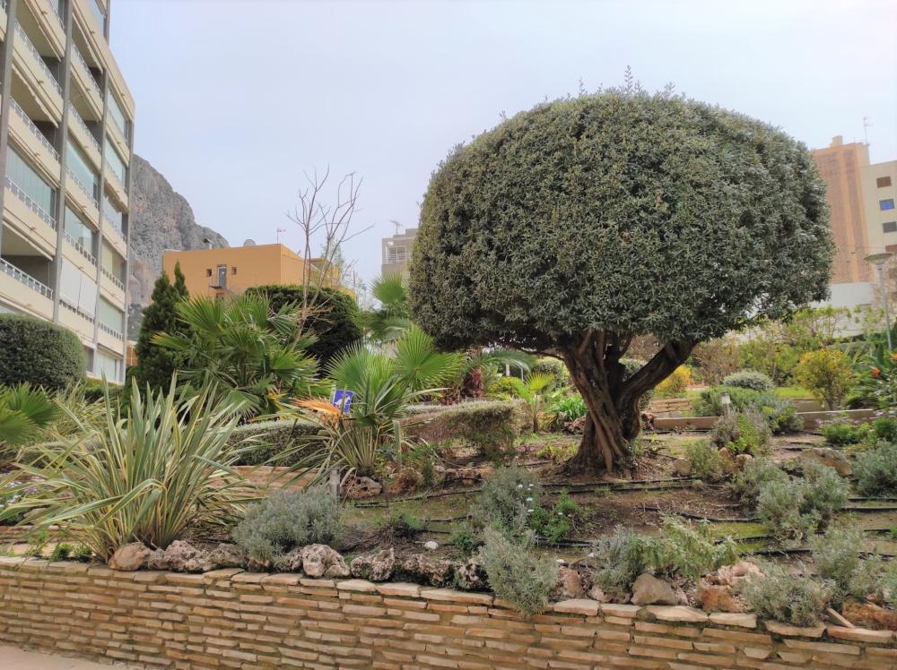 te koop appartement Calpe Marina Alta 32