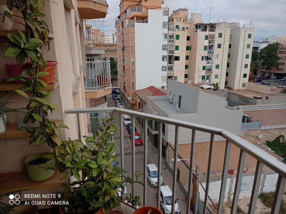  te koop appartement Plaza De Toros Palma 3