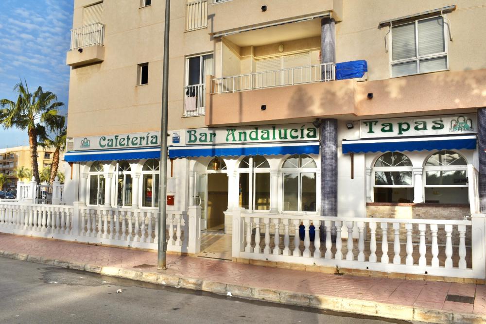  te koop bedrijfsruimte Guardamar Del Segura Baix Segura 1