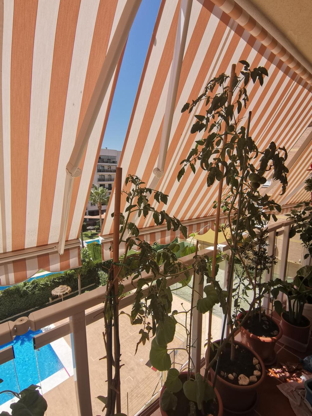  te koop appartement Carretera De Málaga Málaga-Costa Del Sol 17