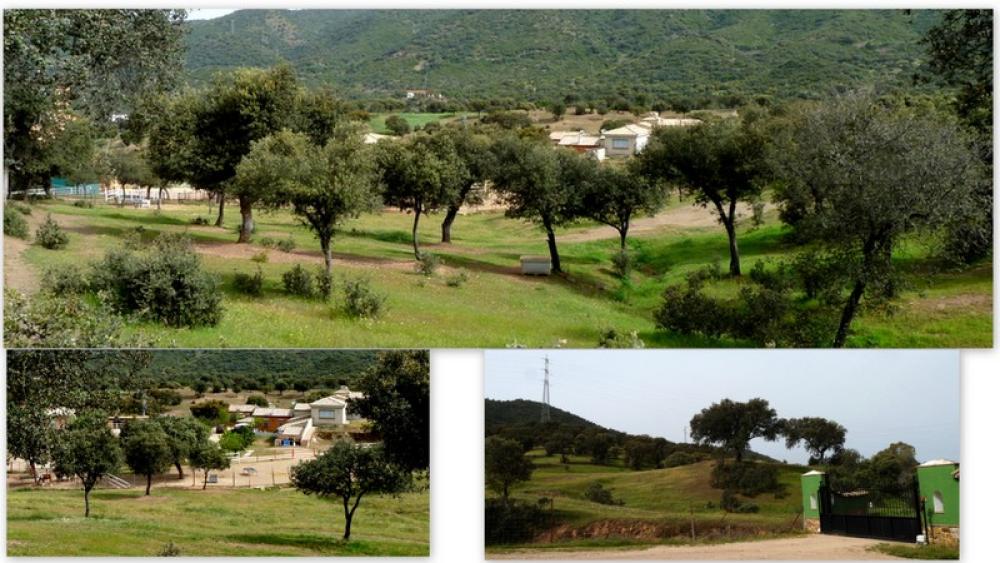  te koop boerderij Espiel Valle Del Guadiato 7