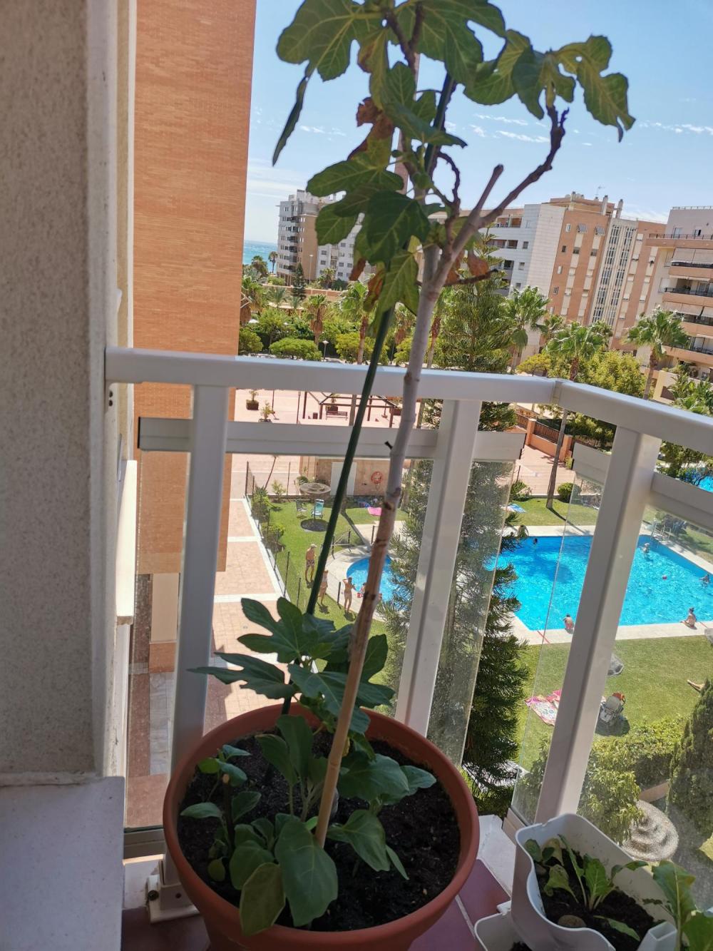  te koop appartement Carretera De Málaga Málaga-Costa Del Sol 18
