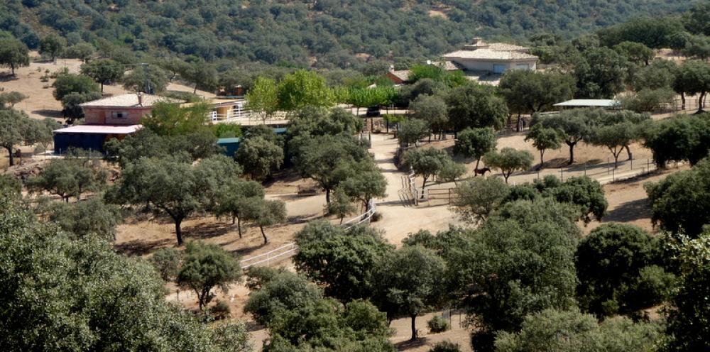  te koop boerderij Espiel Valle Del Guadiato 4