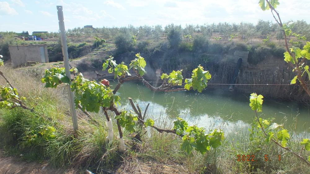  te koop boerderij Aitona Segrià 6