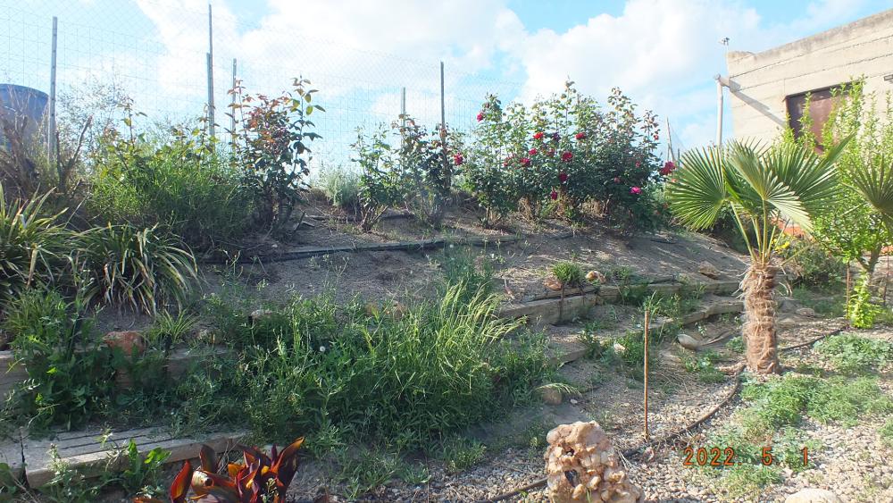  te koop boerderij Aitona Segrià 10