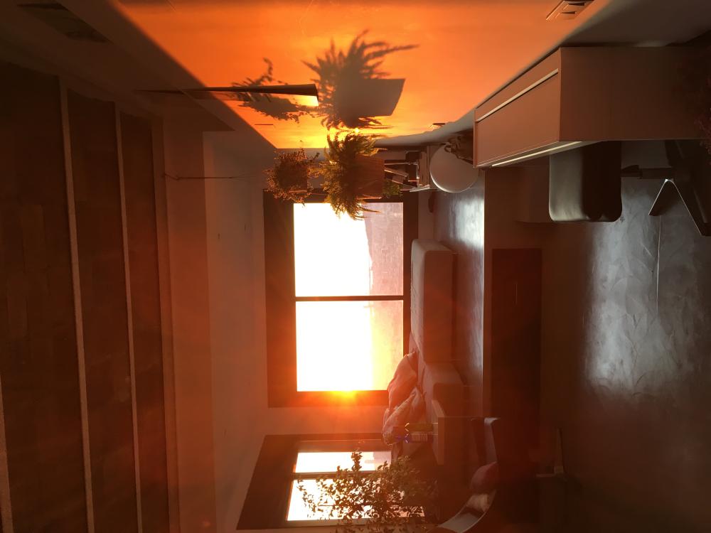  te koop appartement Sarrià-Sant Gervasi-Vallvidrera-Tibidabo-Les Planes Barcelonès 3