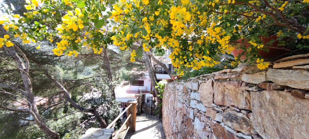 te koop huis Begur Baix Empordà 5