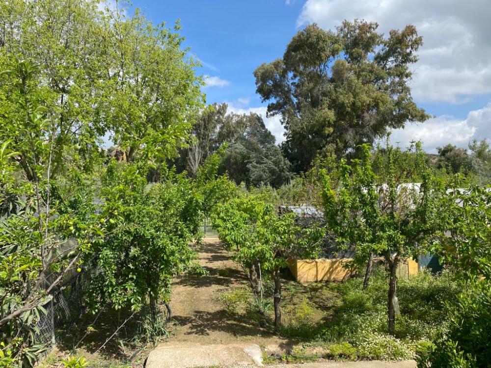  te koop villa Baena Campiña De Baena 39