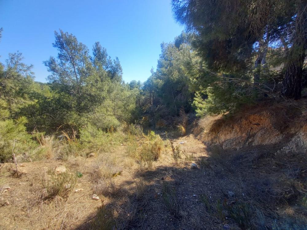  te koop perceel Sierra De Altea Marina Baixa 12