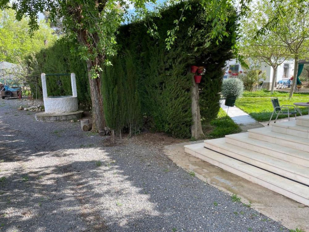  te koop villa Baena Campiña De Baena 8