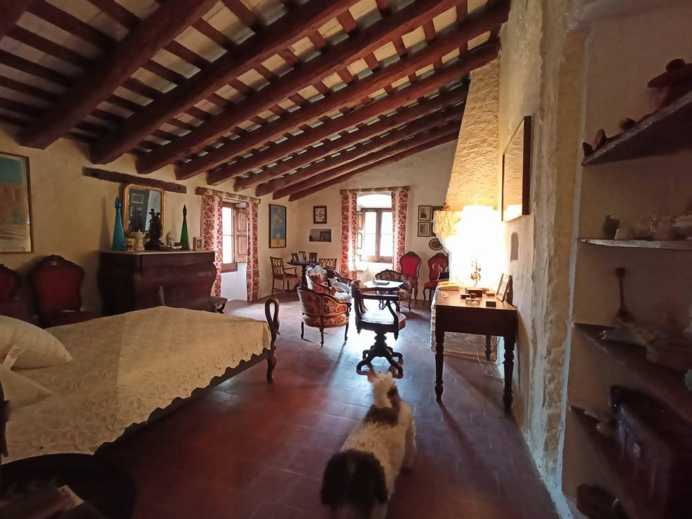  te koop boerderij Sant Andreu De La Barca Baix Llobregat 14