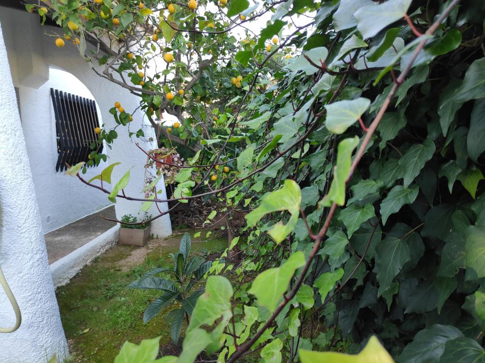  te koop villa Barri Maritim De Comarruga Baix Penedès 17